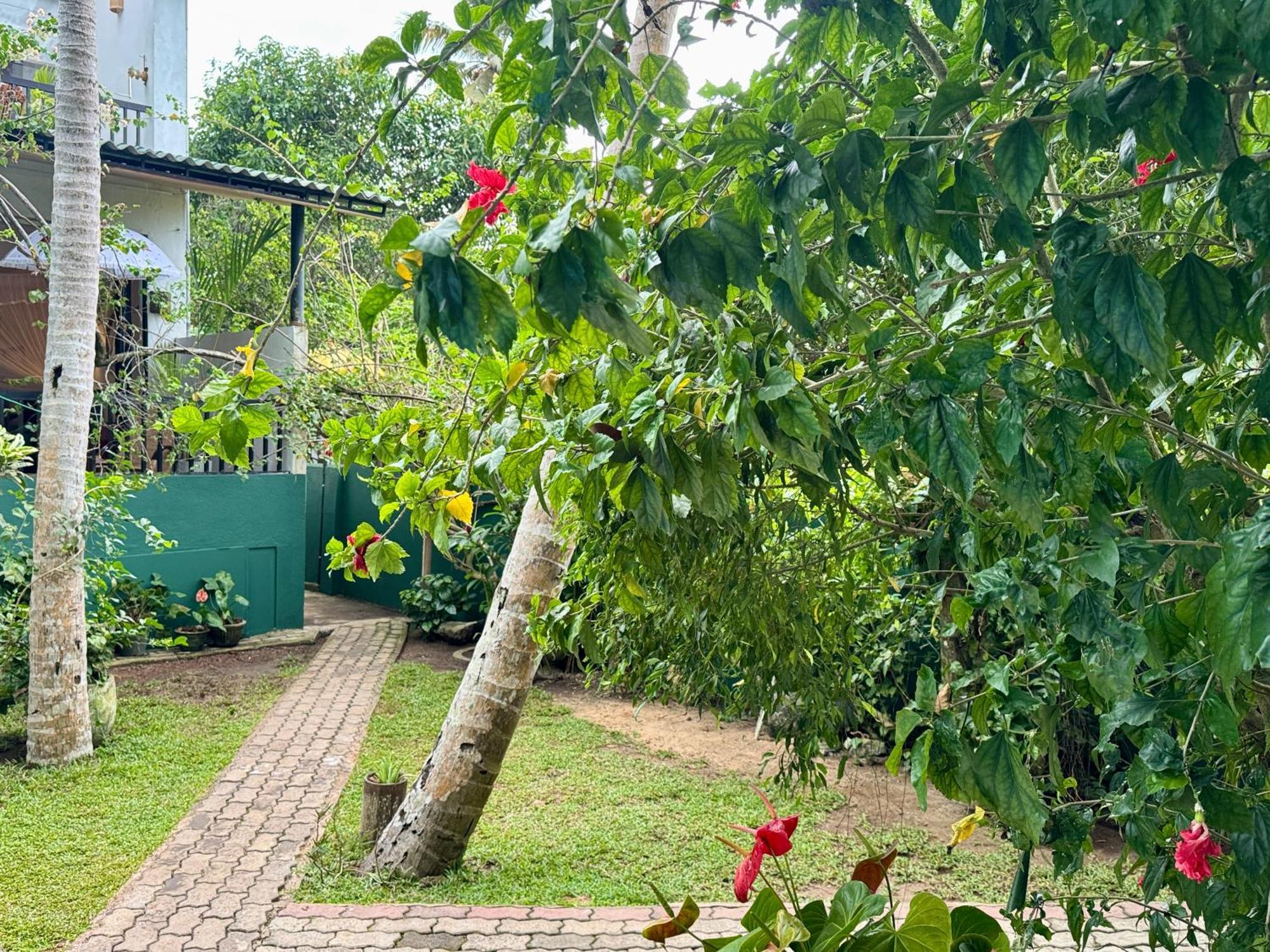 Swastha Ayurveda Villa Hikkaduwa Eksteriør billede